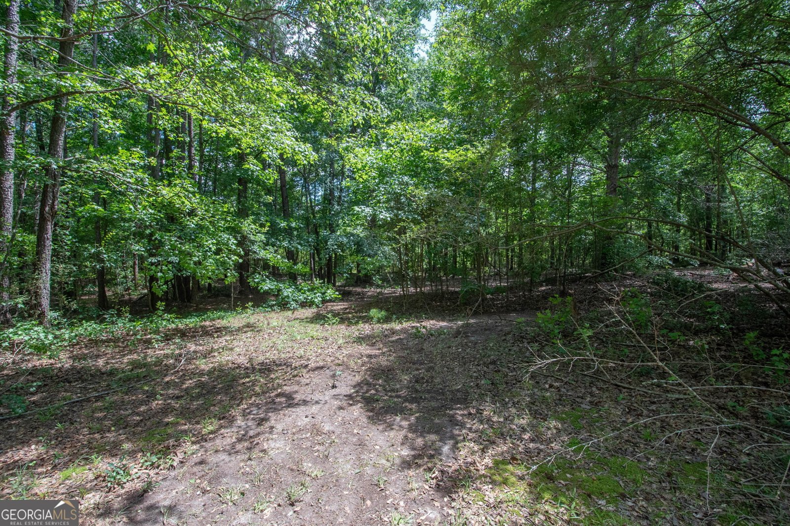 180 Dean Road Greenville - Photo 36