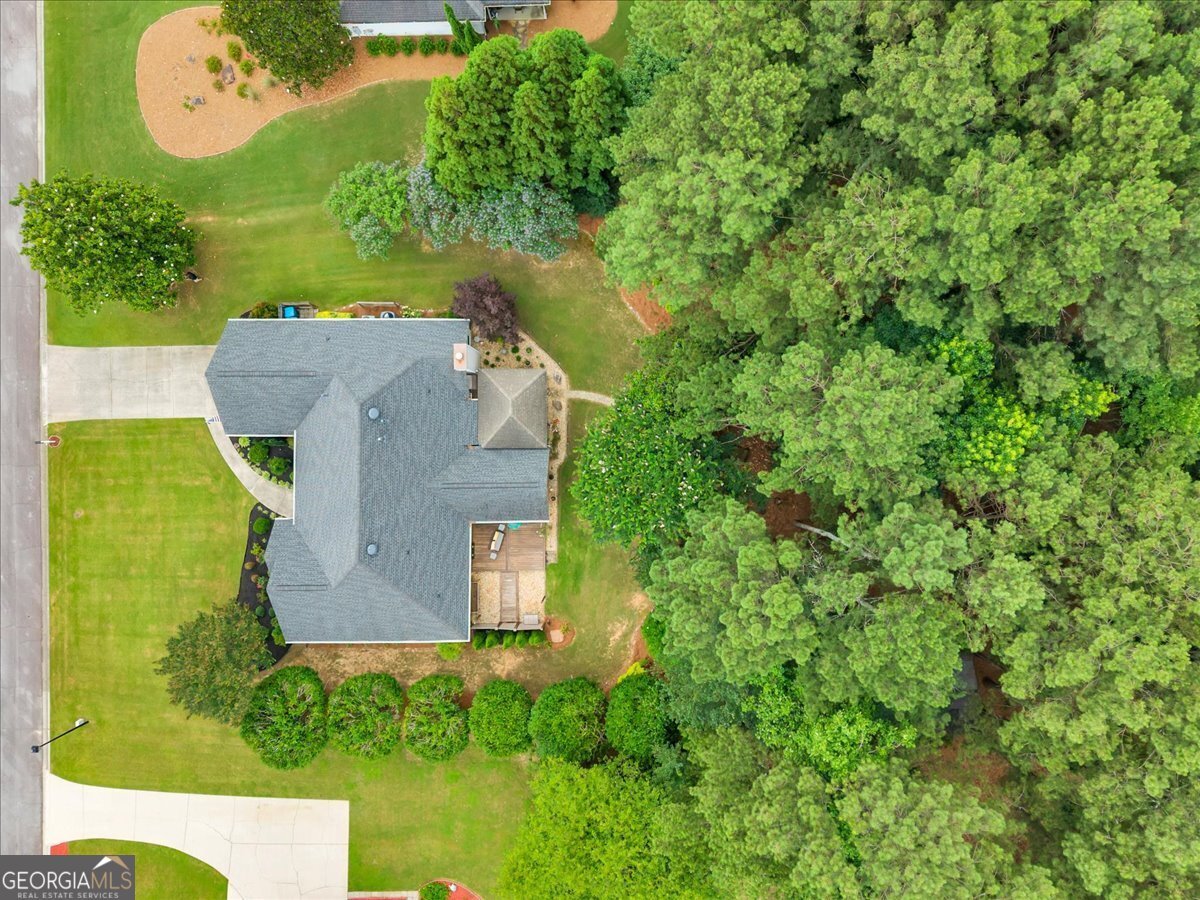 3209 Brooksong Way Dacula - Photo 63
