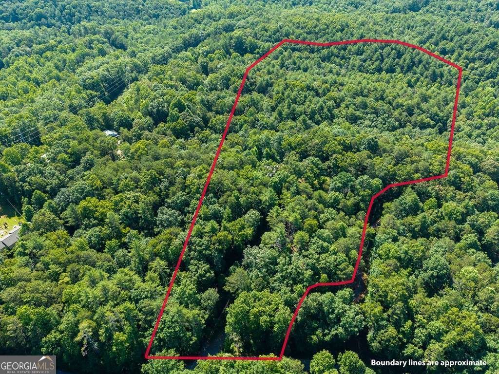 955 Lower Tails Creek Road Ellijay - Photo 14