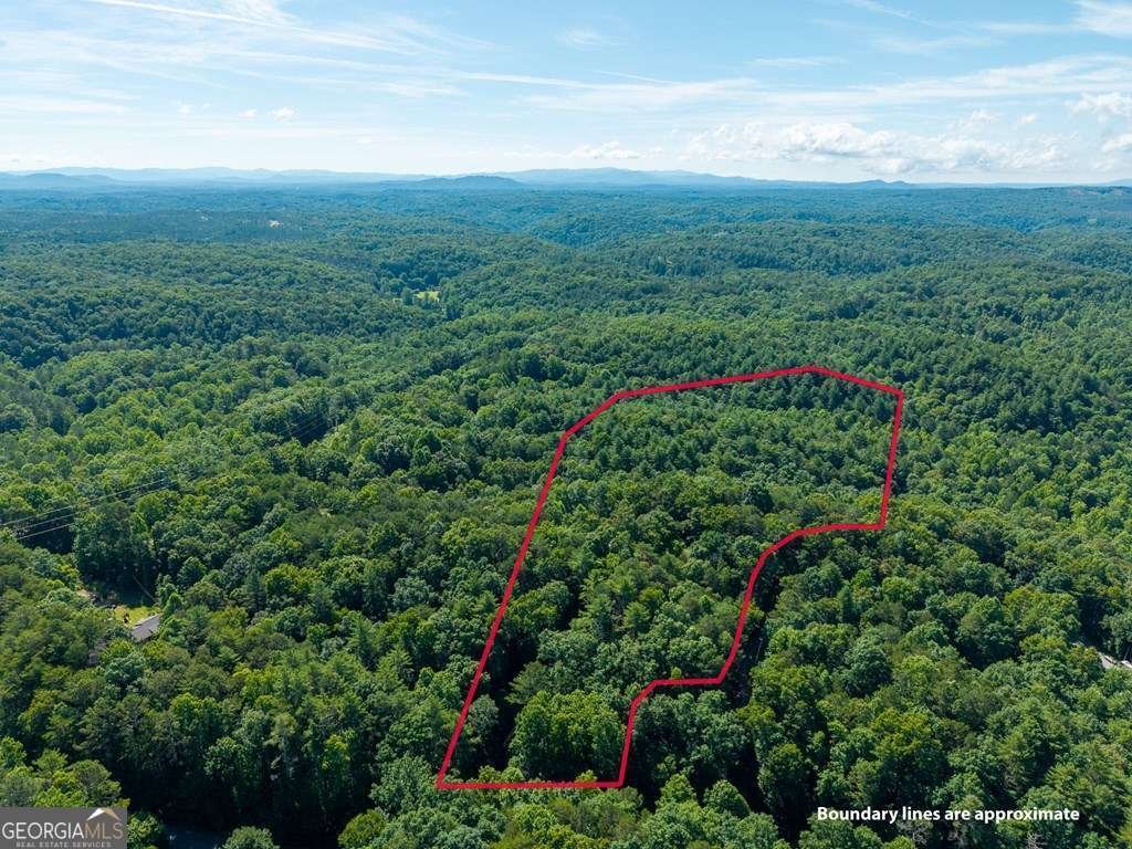 955 Lower Tails Creek Road Ellijay - Photo 15