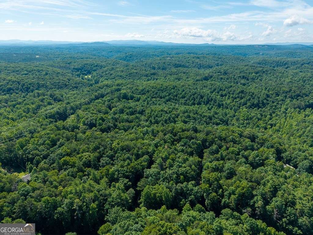 955 Lower Tails Creek Road Ellijay - Photo 16