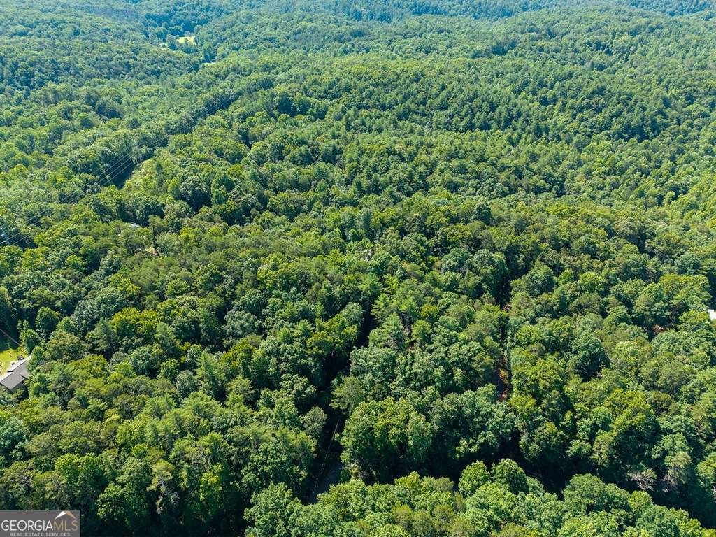 955 Lower Tails Creek Road Ellijay - Photo 17