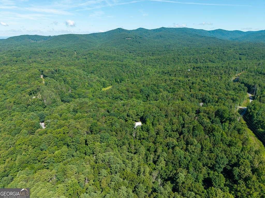 955 Lower Tails Creek Road Ellijay - Photo 18