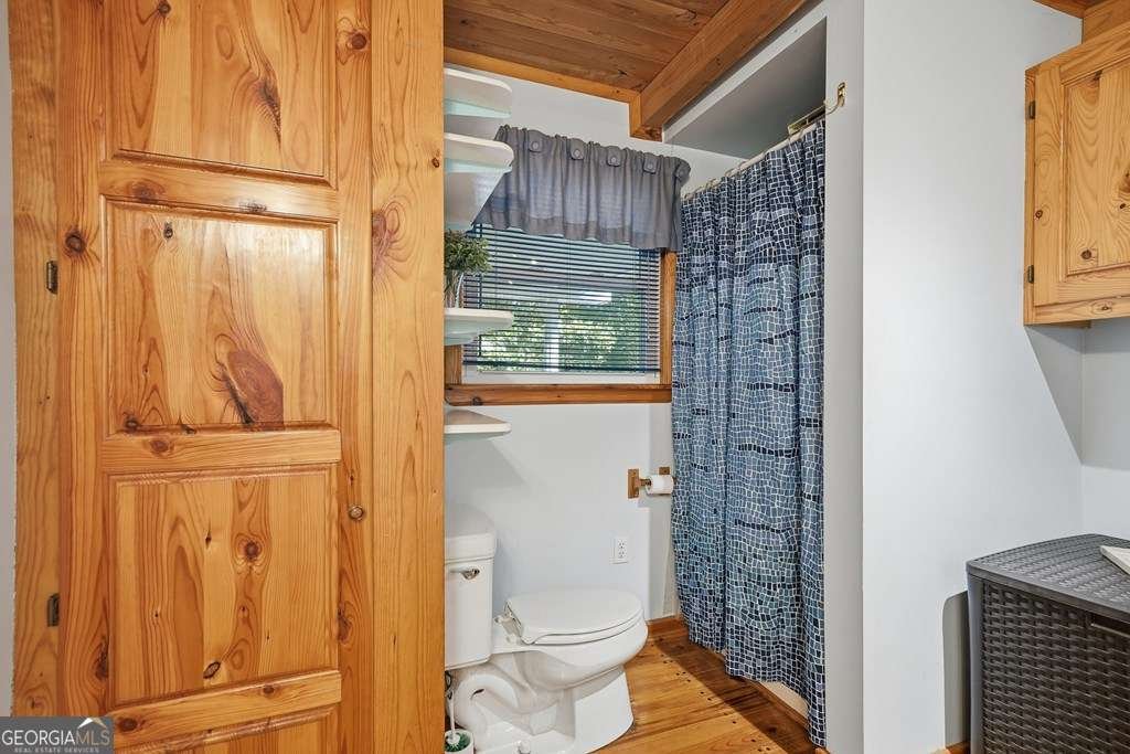 955 Lower Tails Creek Road Ellijay - Photo 36
