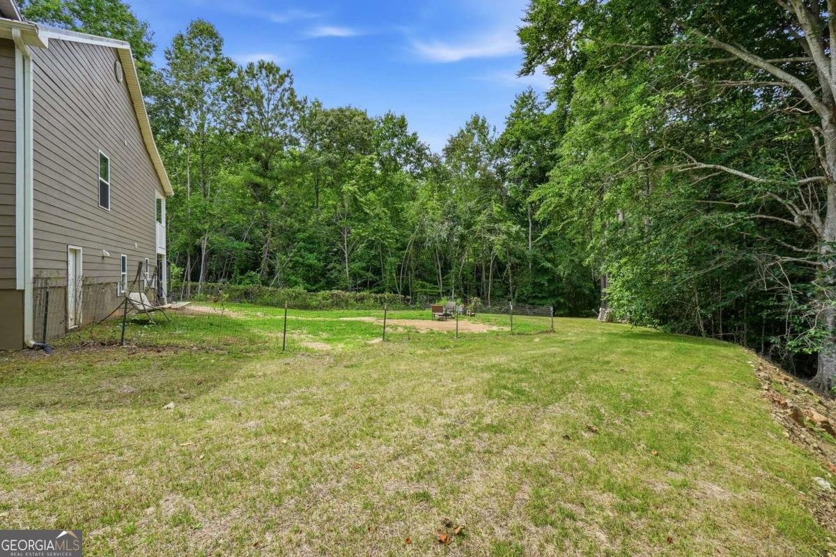 303 Salem Church Road Dawsonville - Photo 53
