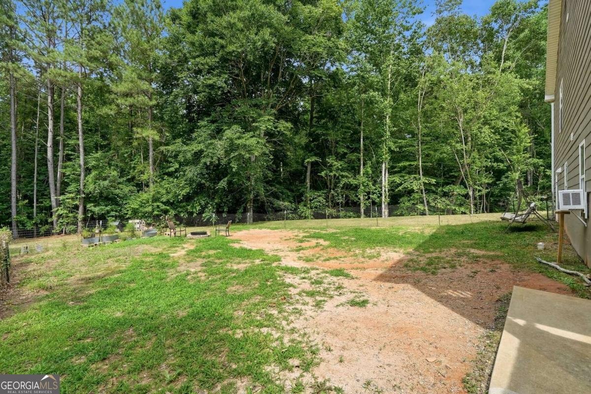 303 Salem Church Road Dawsonville - Photo 56