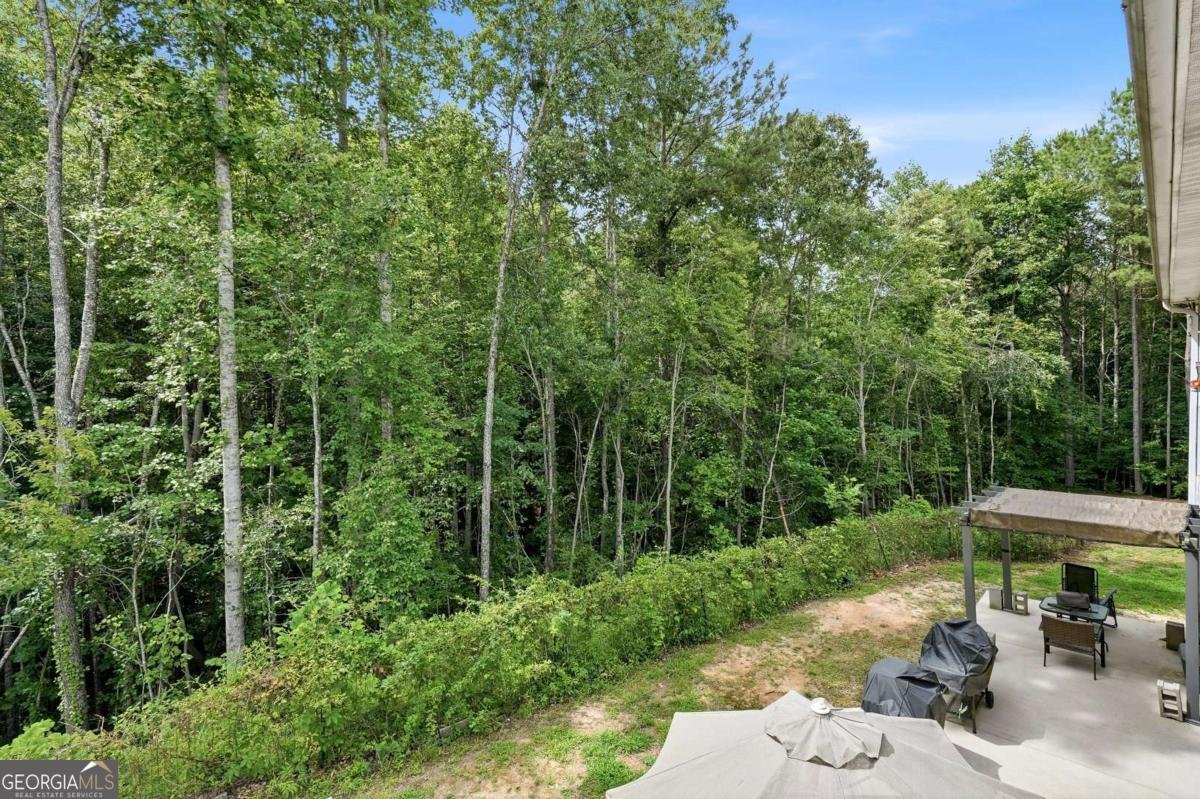 303 Salem Church Road Dawsonville - Photo 59
