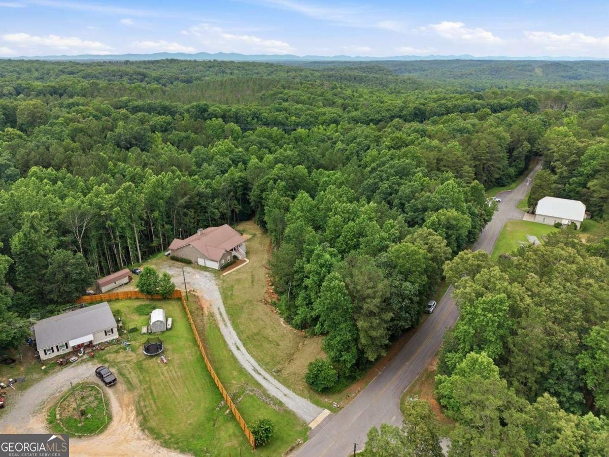 303 Salem Church Road Dawsonville - Photo 60