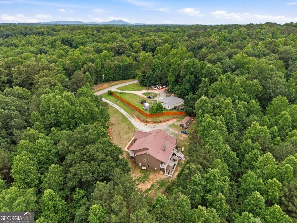 303 Salem Church Road Dawsonville - Photo 61