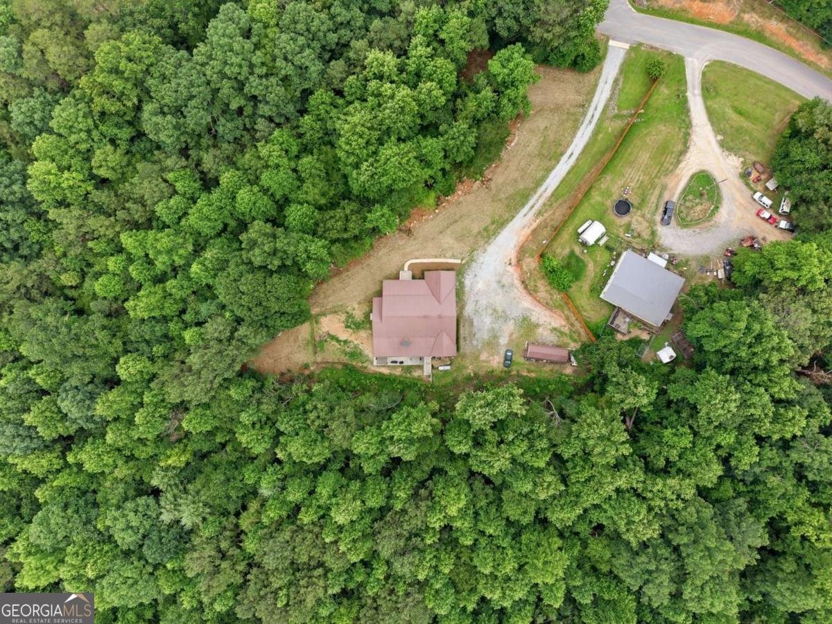 303 Salem Church Road Dawsonville - Photo 66