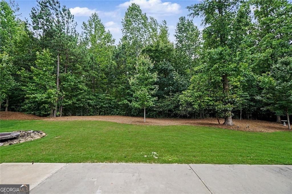 171 Bellehaven Drive Woodstock - Photo 20