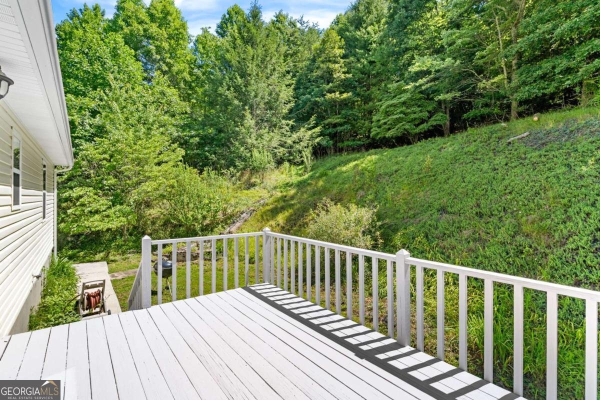 810 Hog Creek Road Hiawassee - Photo 29