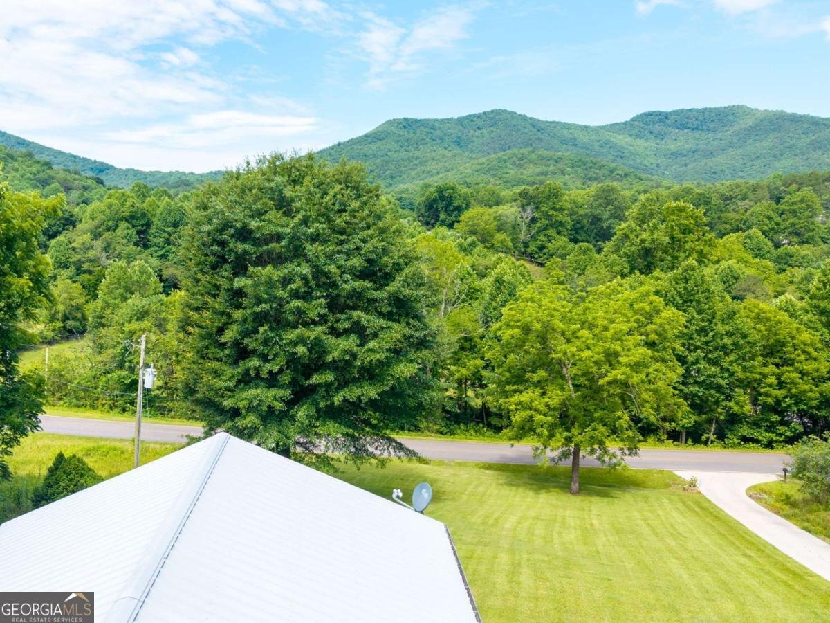 810 Hog Creek Road Hiawassee - Photo 40