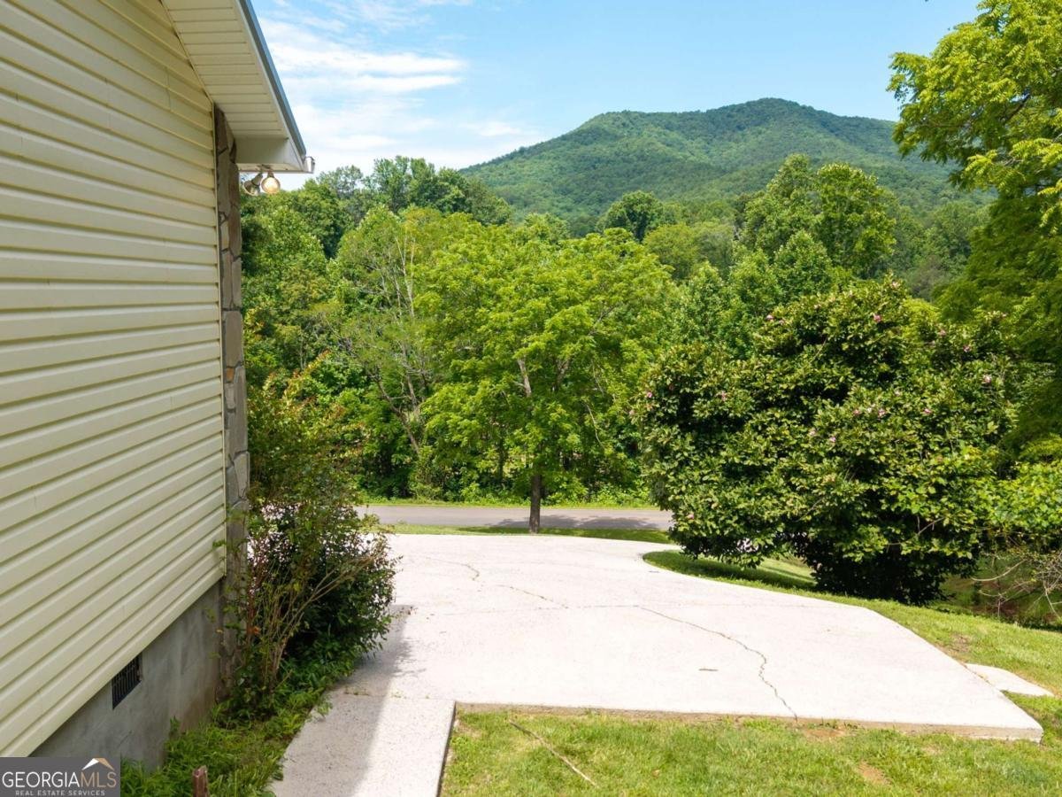 810 Hog Creek Road Hiawassee - Photo 42