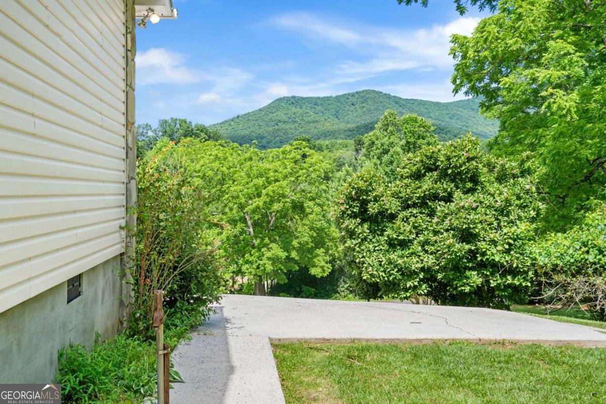 810 Hog Creek Road Hiawassee - Photo 43