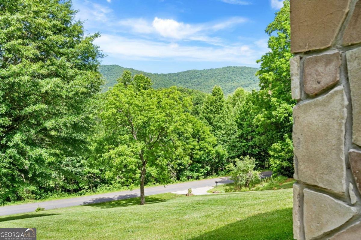 810 Hog Creek Road Hiawassee - Photo 44