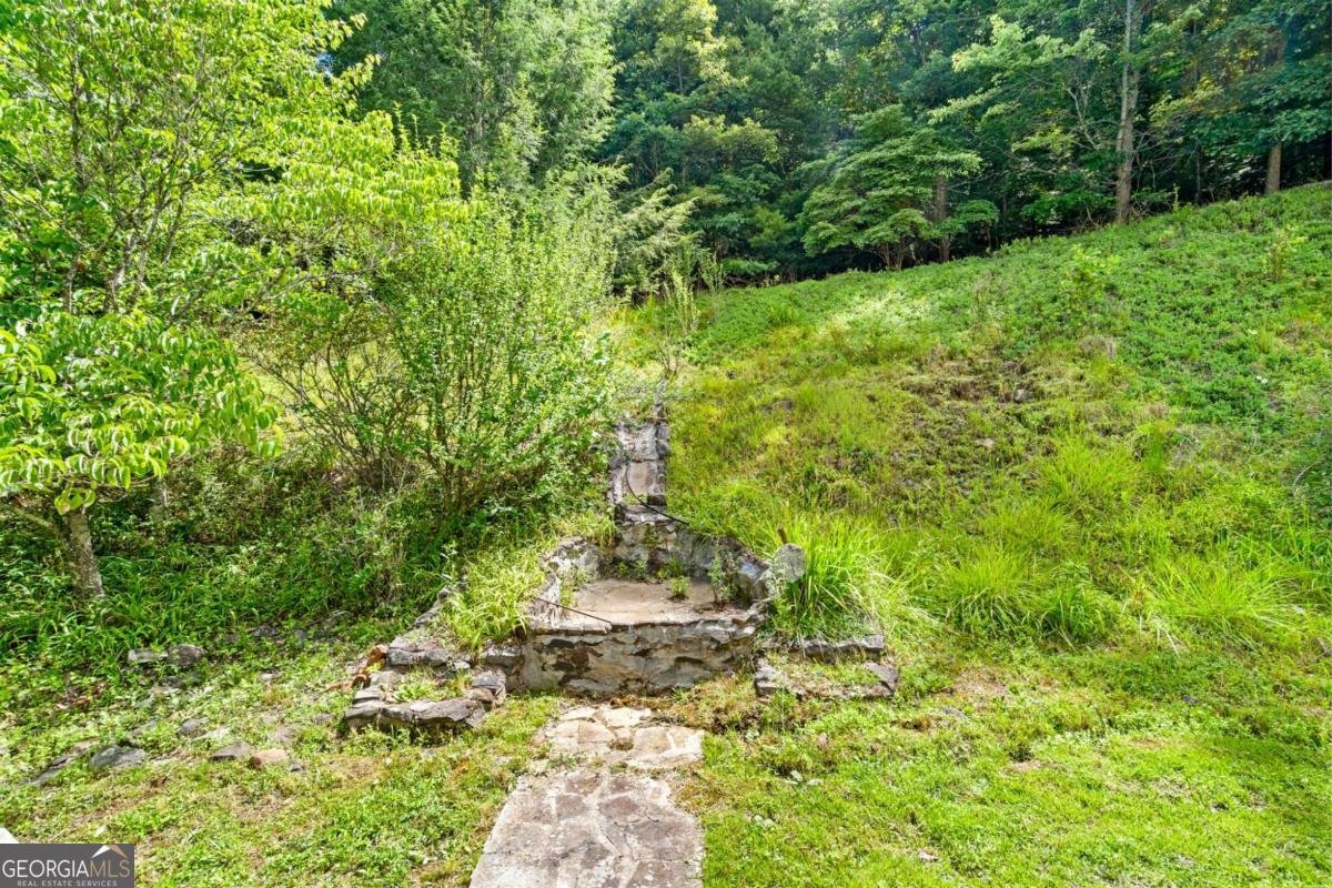 810 Hog Creek Road Hiawassee - Photo 45