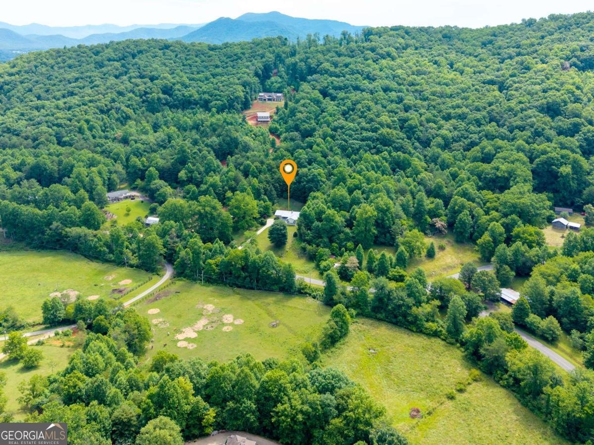 810 Hog Creek Road Hiawassee - Photo 46