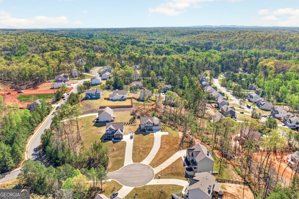 8415 Calloway Club Drive Cumming - Photo 43