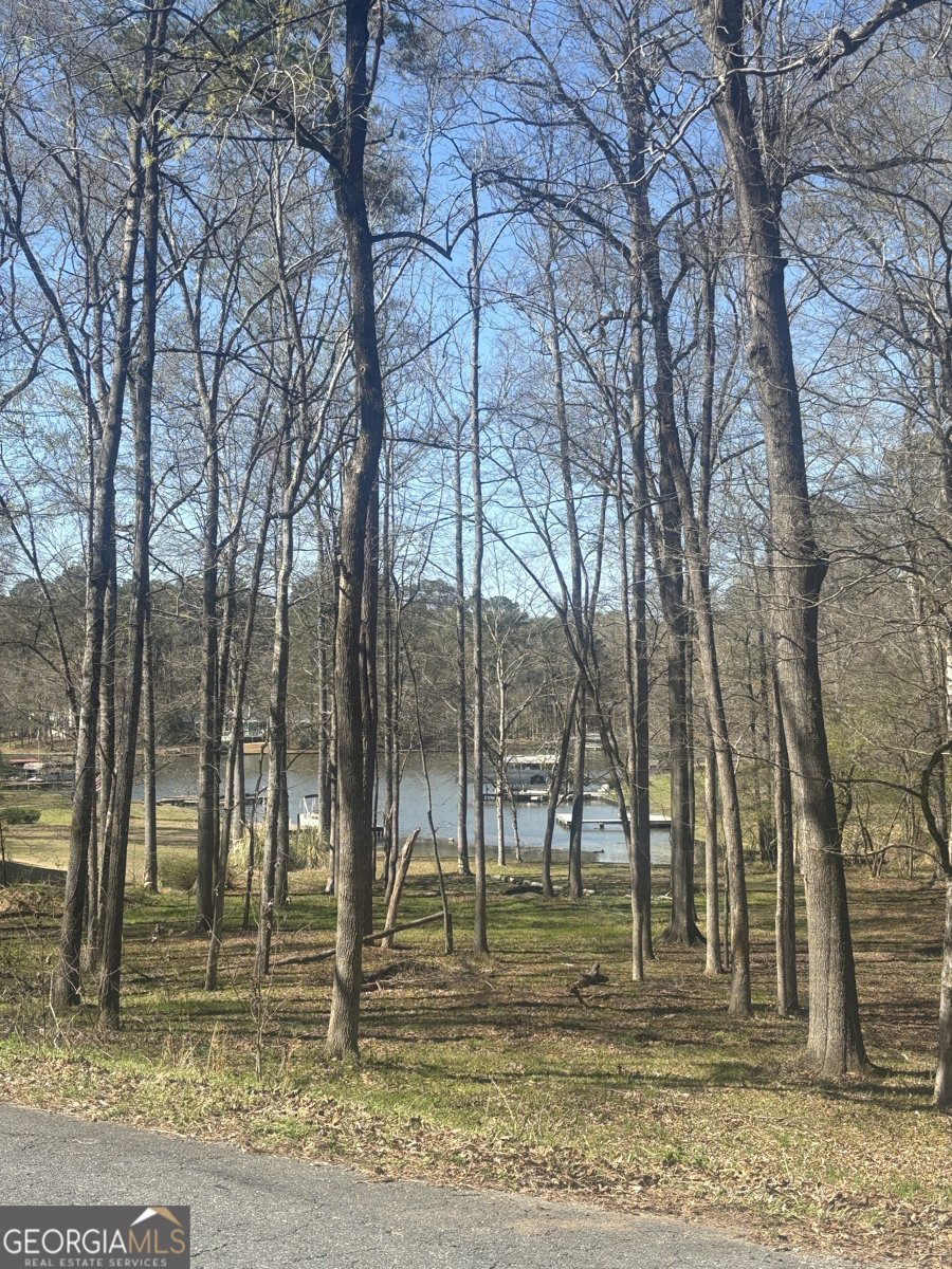 176 ARROWHEAD Trail Eatonton - Photo 6