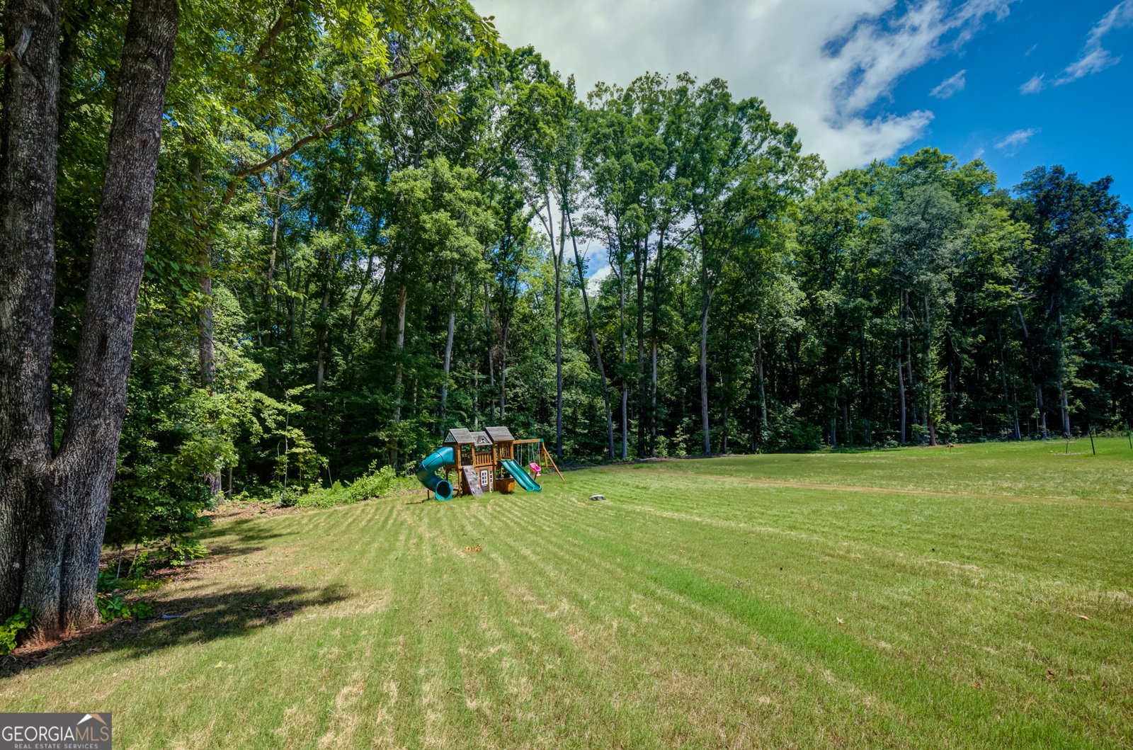 299 Saddleridge Trail Senoia - Photo 45