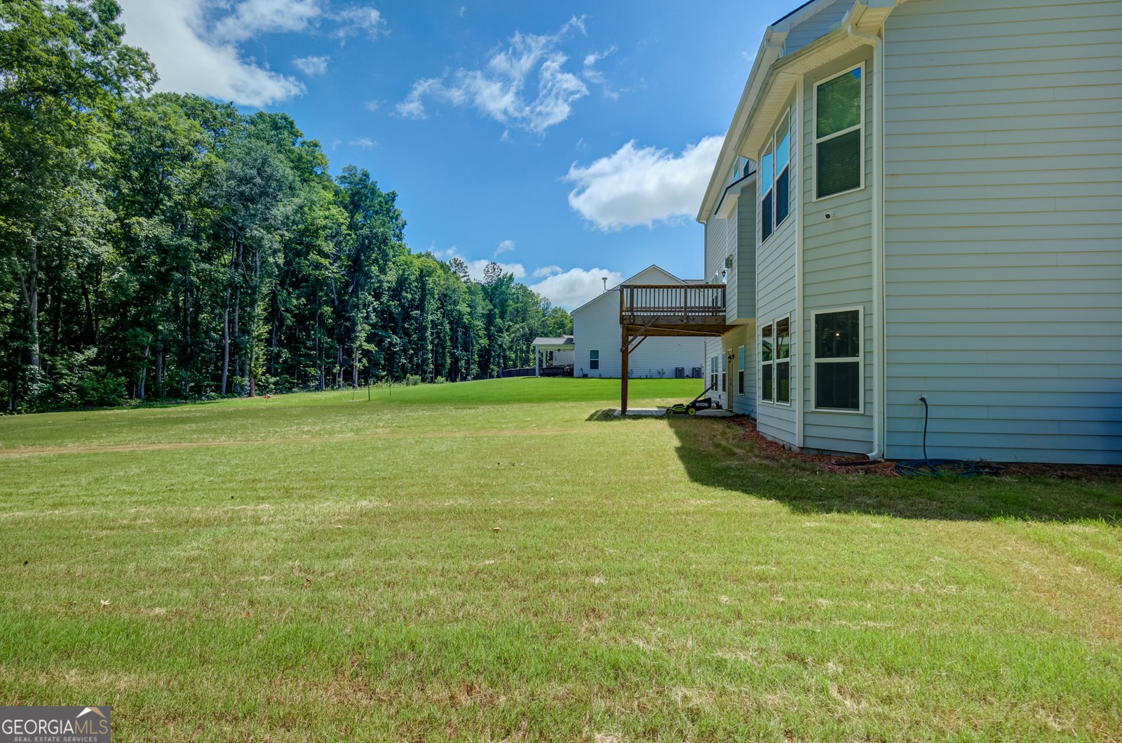 299 Saddleridge Trail Senoia - Photo 46