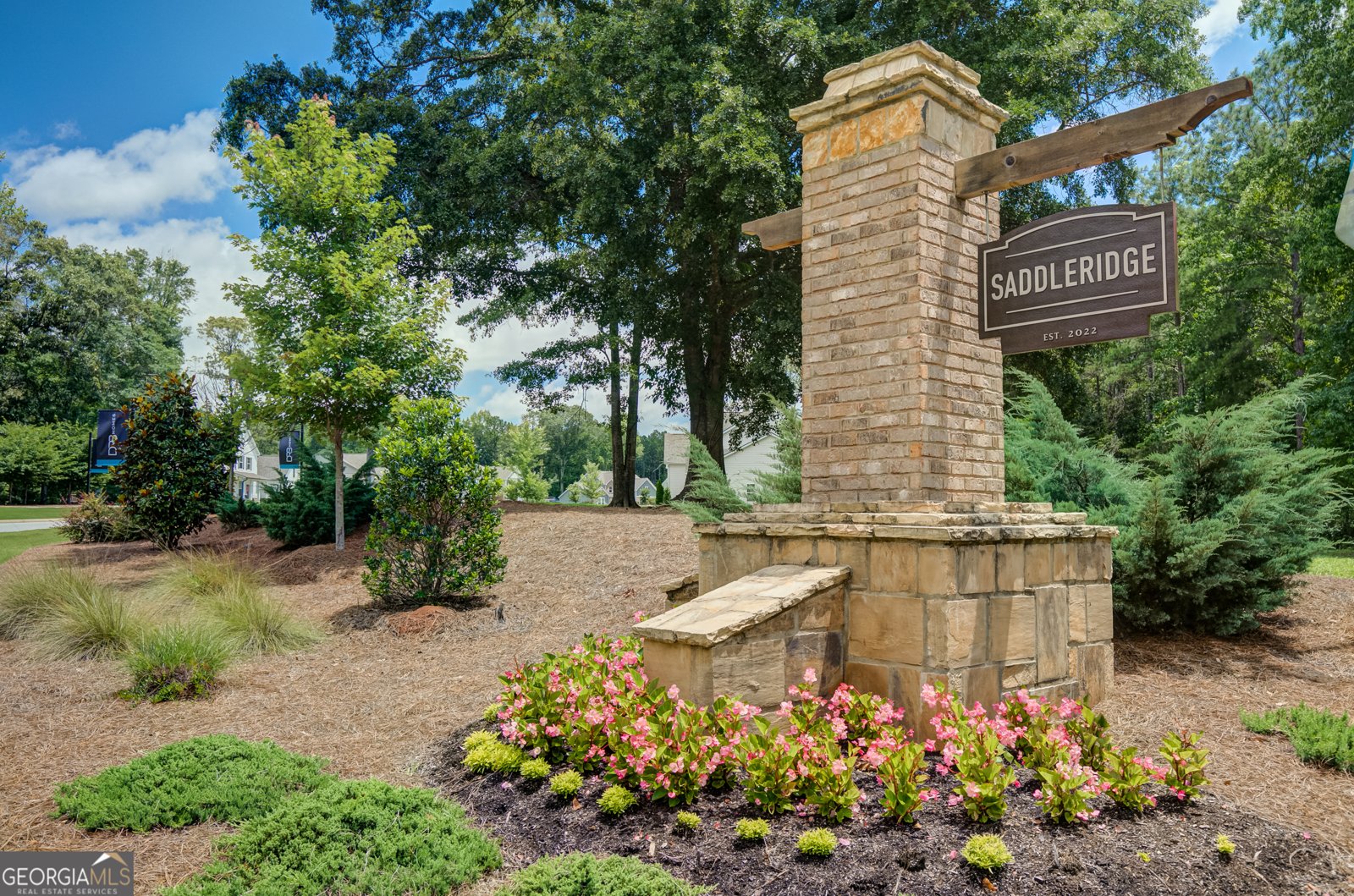 299 Saddleridge Trail Senoia - Photo 47