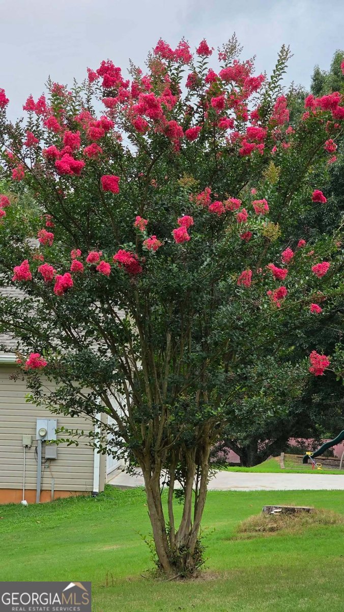 3322 Barry Lane Gainesville - Photo 56