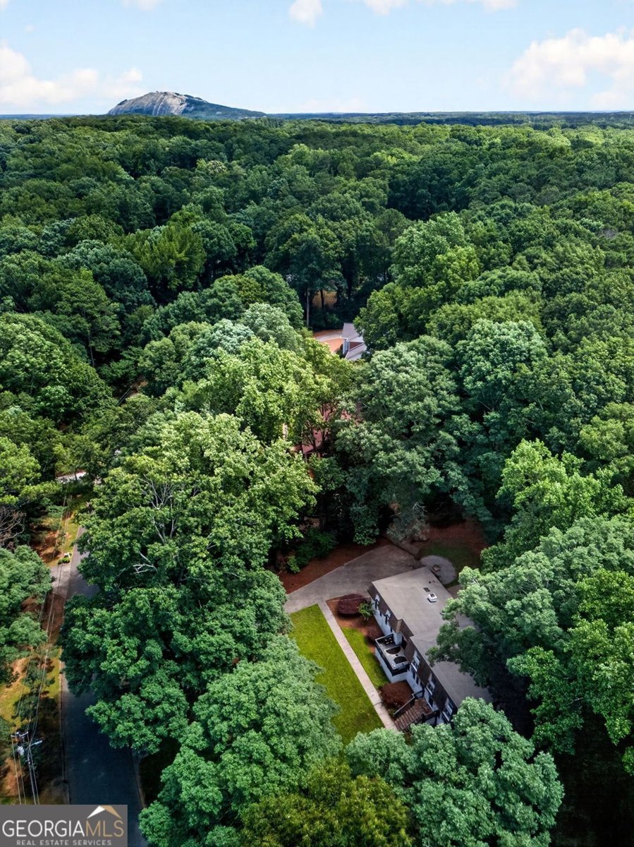 2282 Deer Ridge Drive Tucker - Photo 59