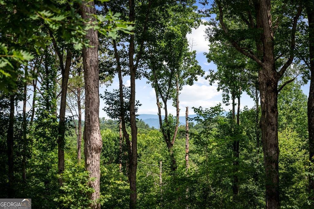 290 Graham Court Ellijay - Photo 58