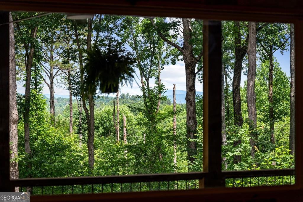 290 Graham Court Ellijay - Photo 59