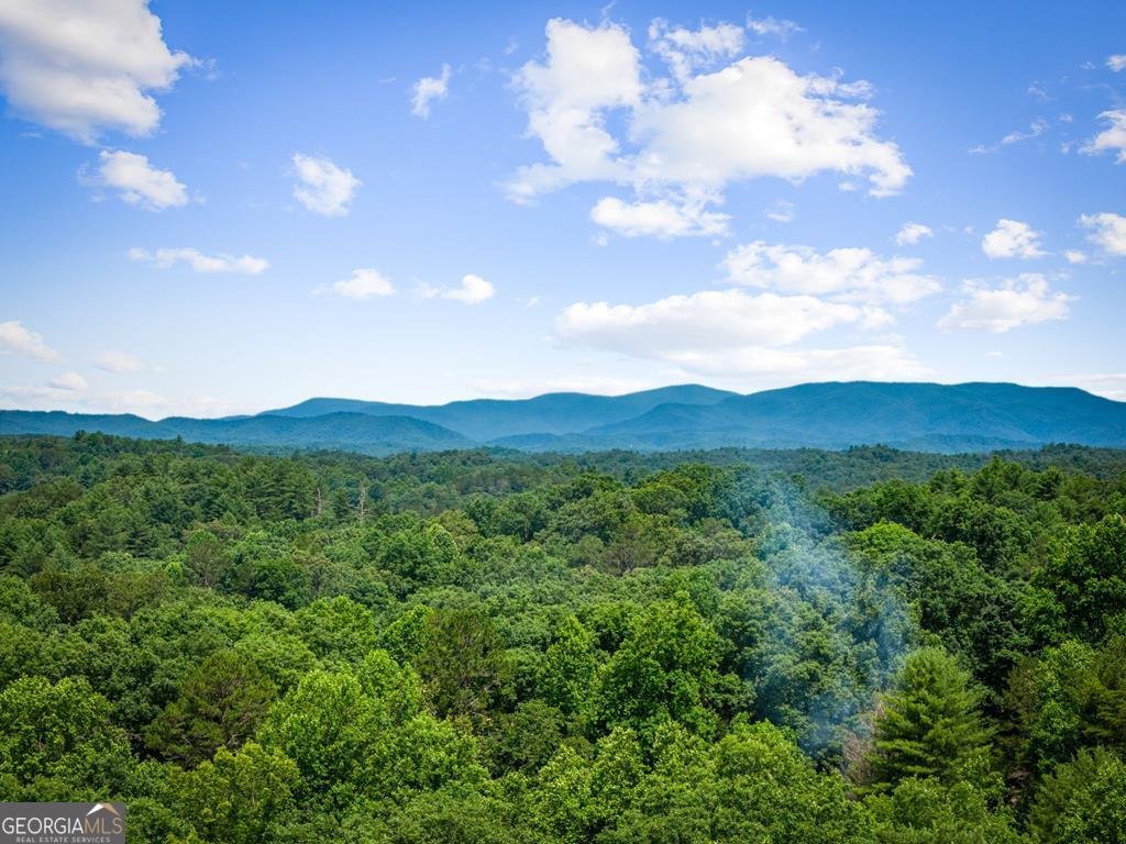 290 Graham Court Ellijay - Photo 60