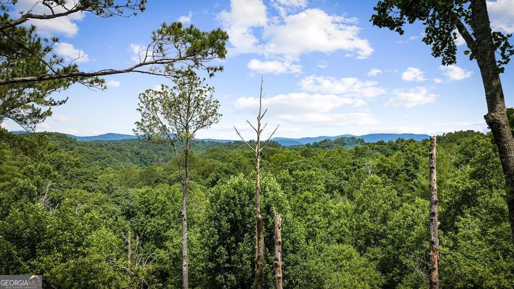 290 Graham Court Ellijay - Photo 62