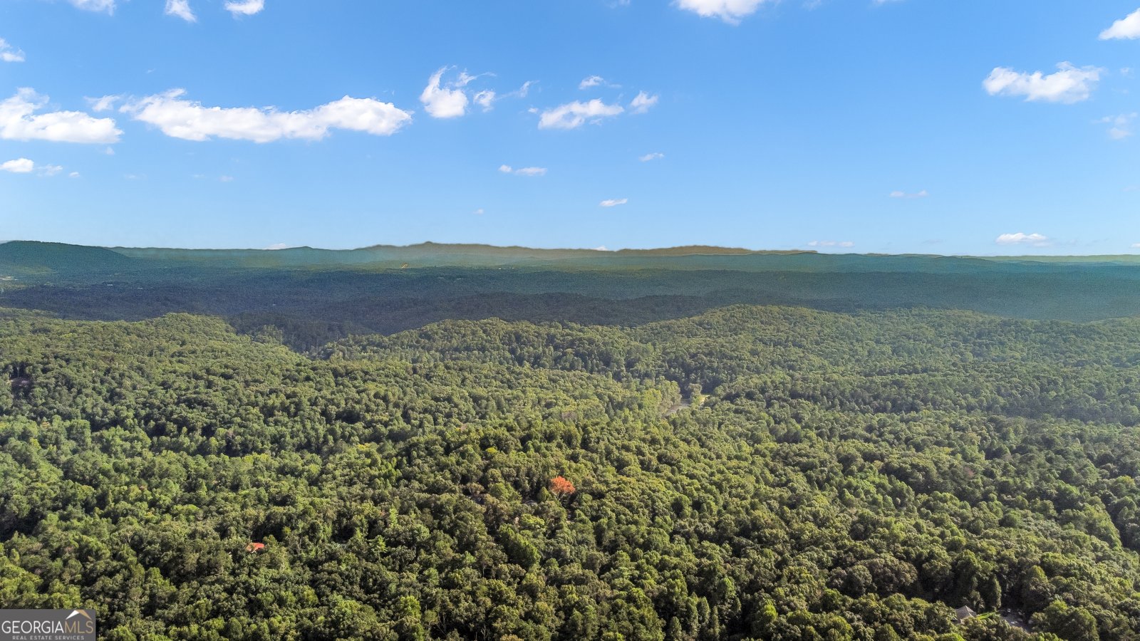 165 Timberwalk Drive Ellijay - Photo 19