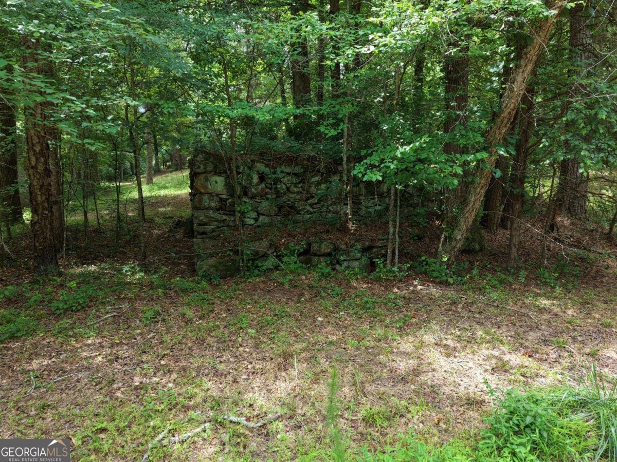 2425 Spratlin Mill Road Hull - Photo 62