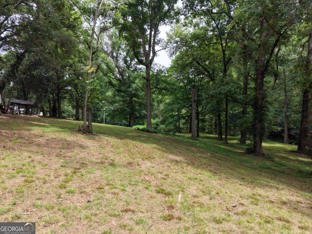 2425 Spratlin Mill Road Hull - Photo 71