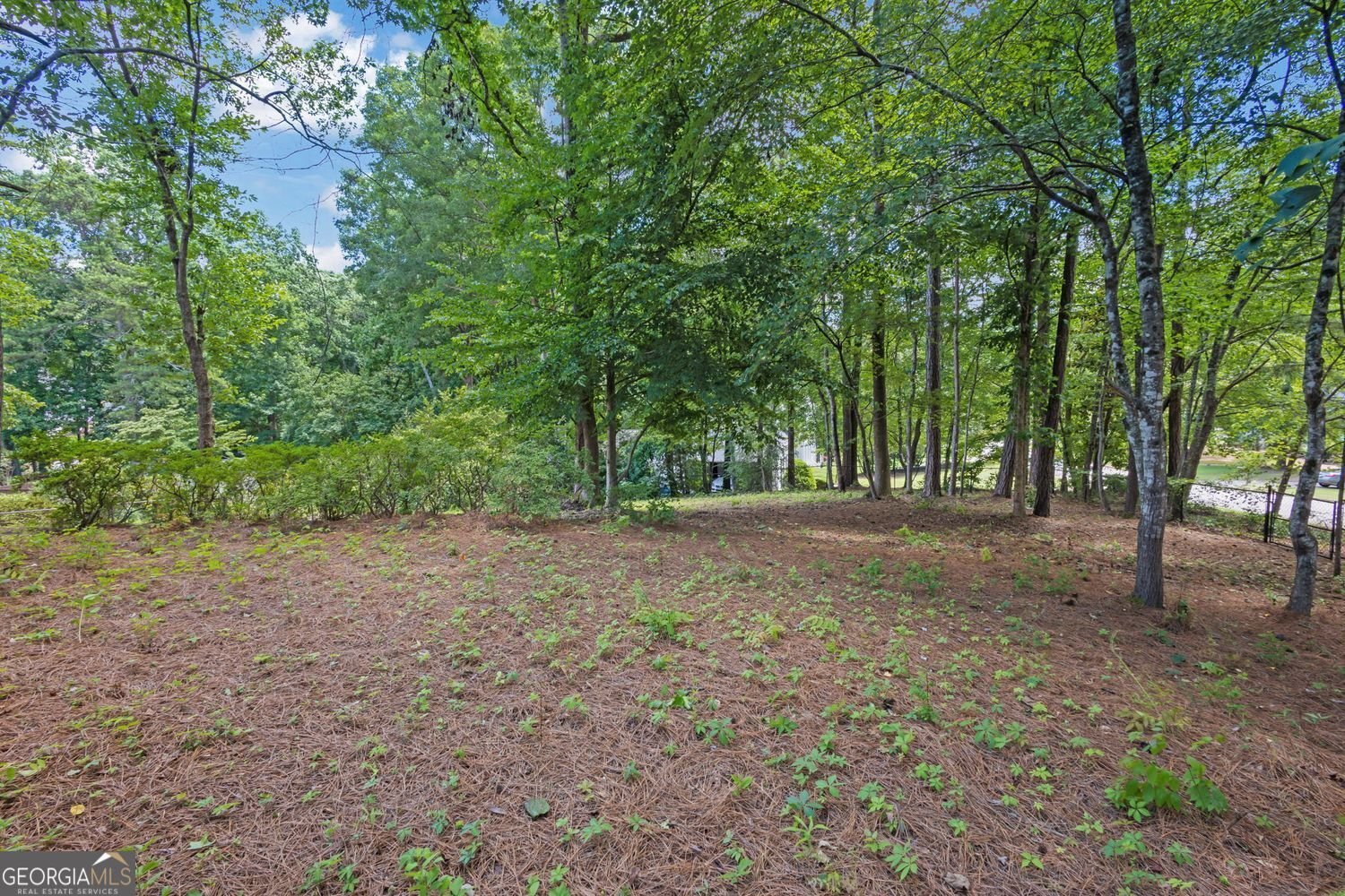 9380 Grace Lake Drive Douglasville - Photo 36