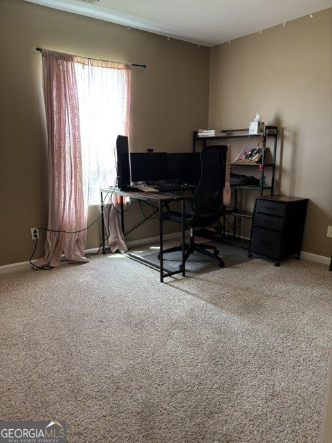 5068 Scotch Pine Avenue Statesboro - Photo 16