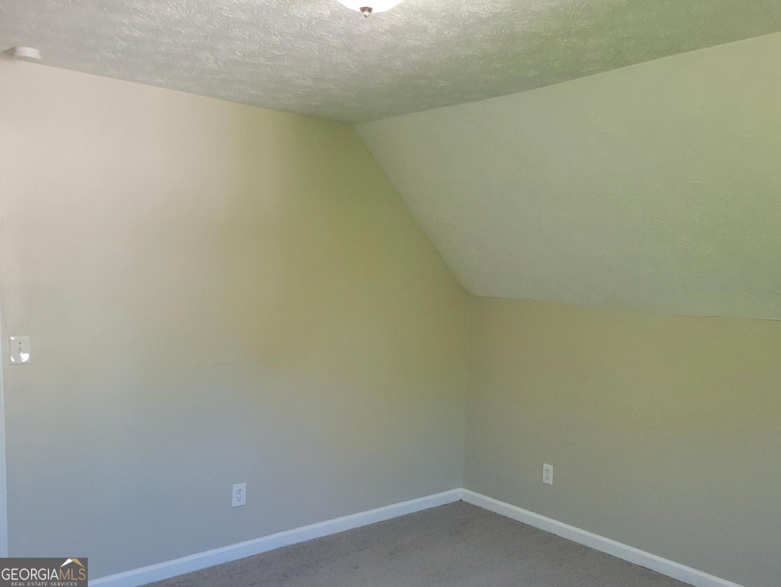 915 Burning Bush Drive Loganville - Photo 12