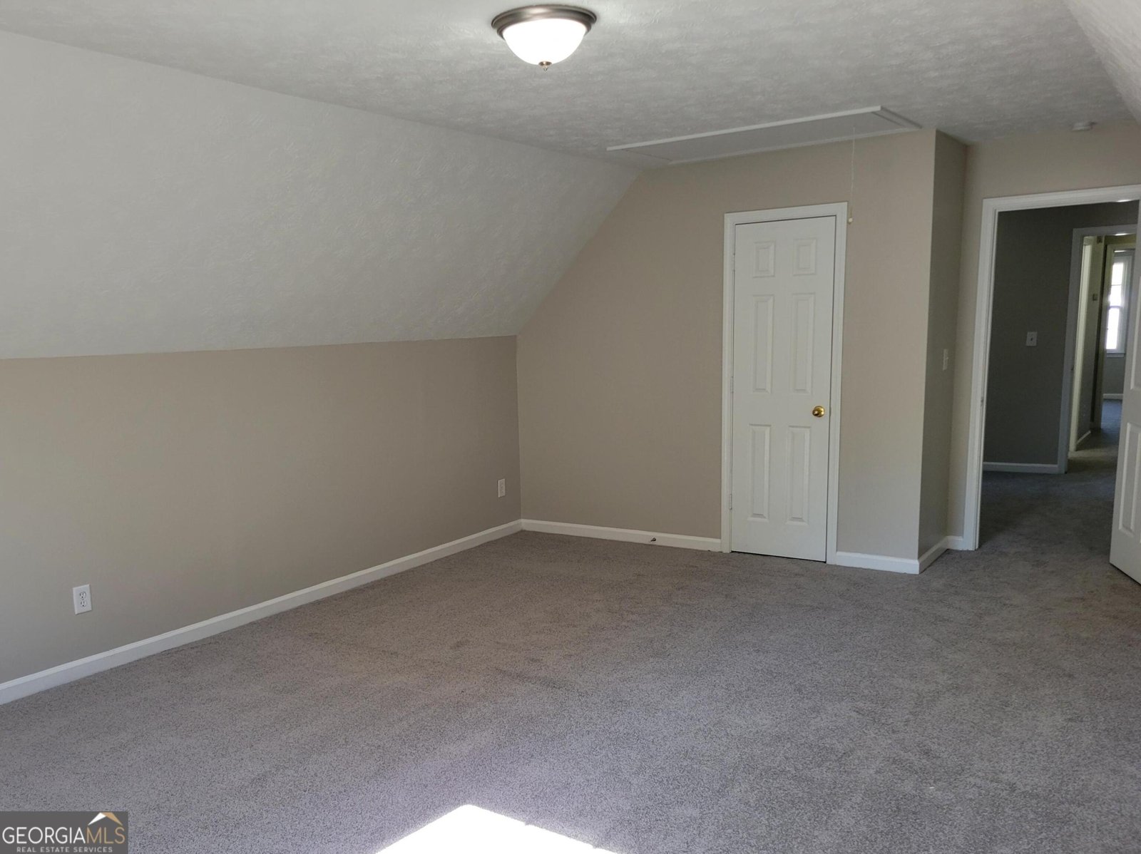 915 Burning Bush Drive Loganville - Photo 19
