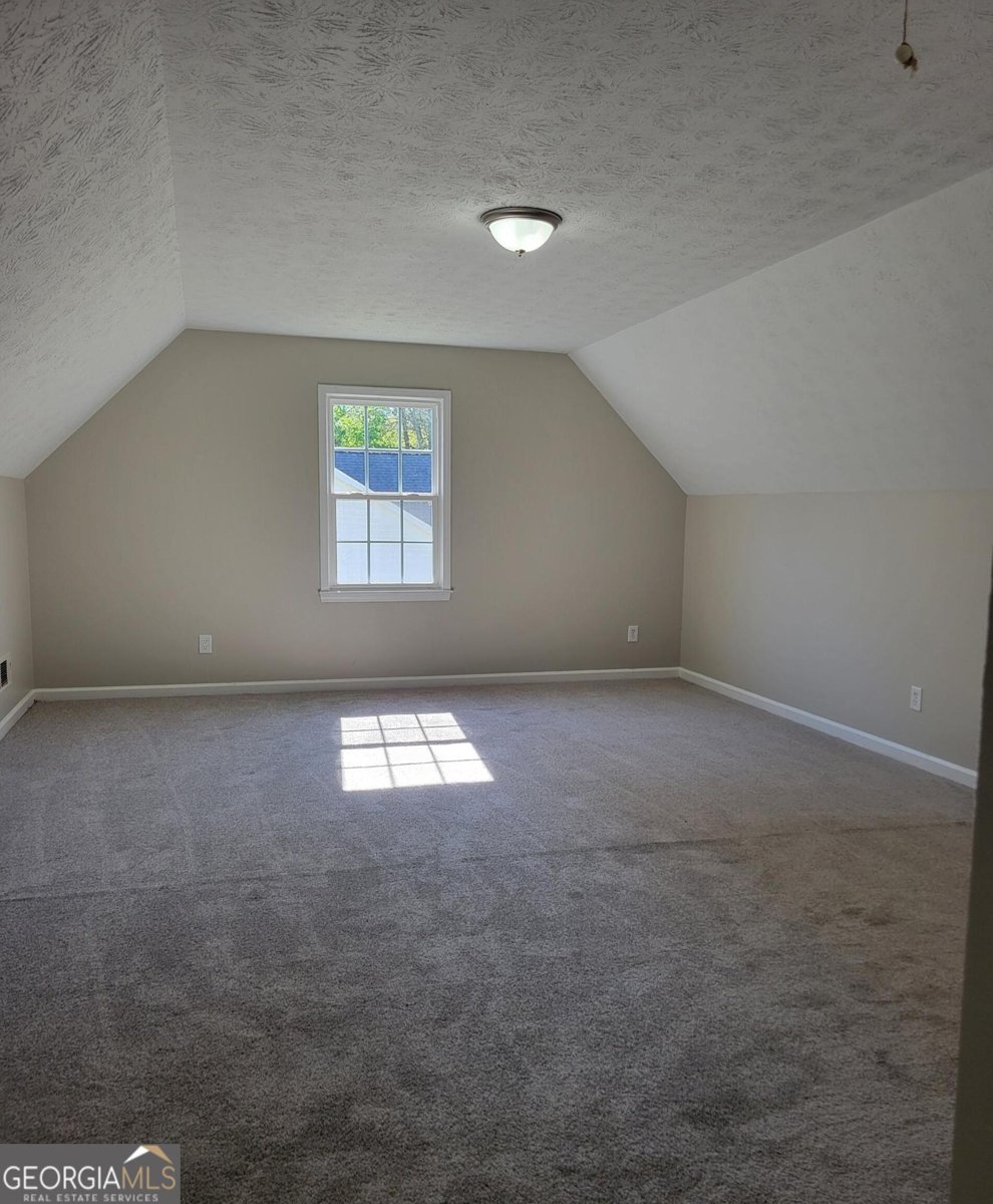 915 Burning Bush Drive Loganville - Photo 20