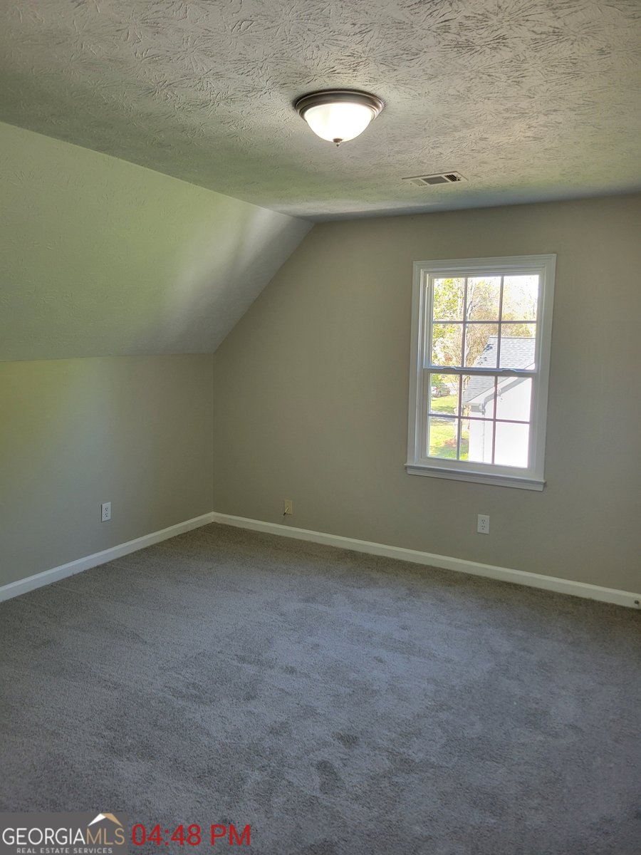 915 Burning Bush Drive Loganville - Photo 21