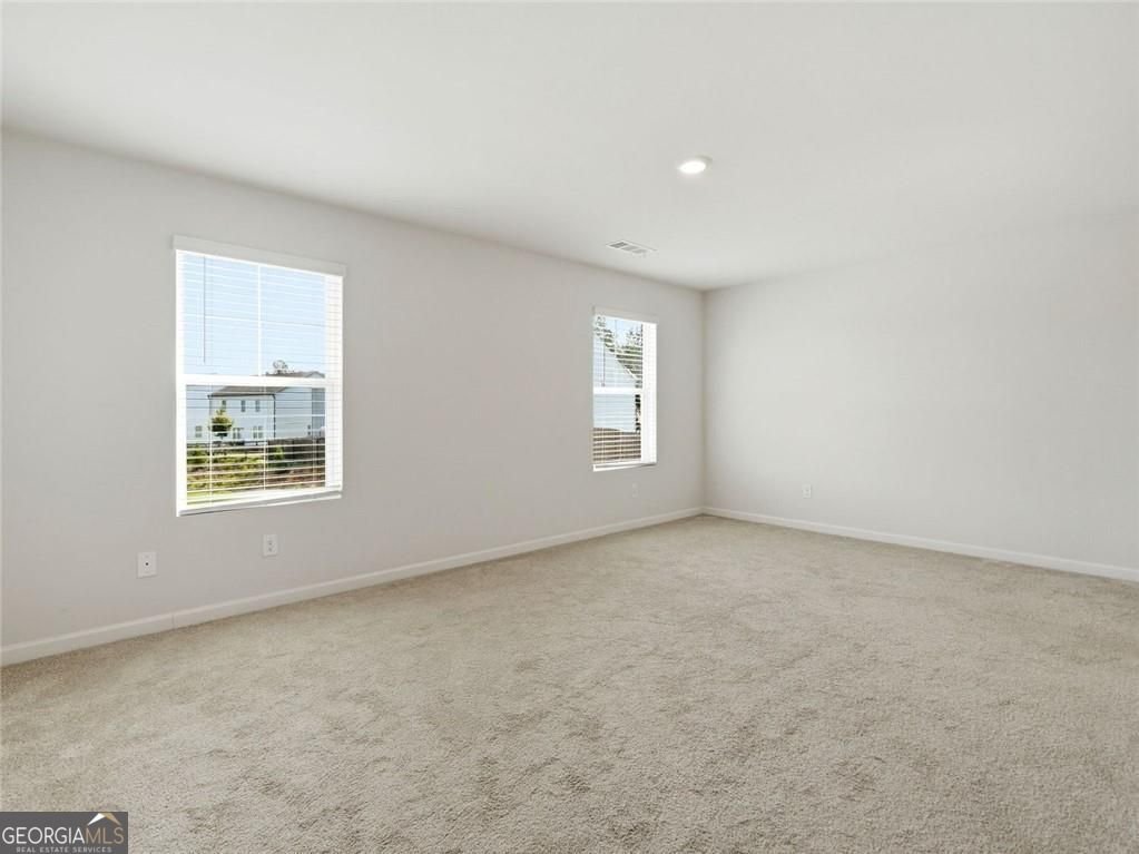 29 White Cedar Drive Dawsonville - Photo 25