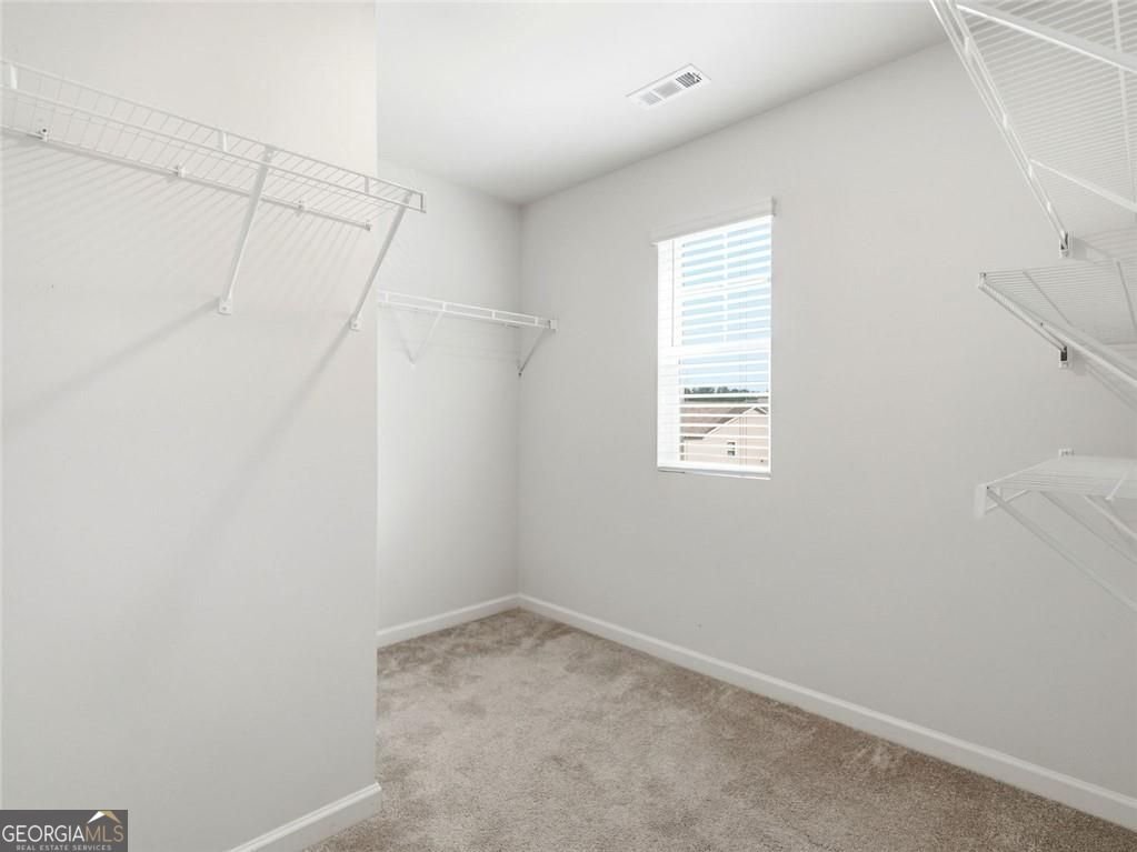 29 White Cedar Drive Dawsonville - Photo 26