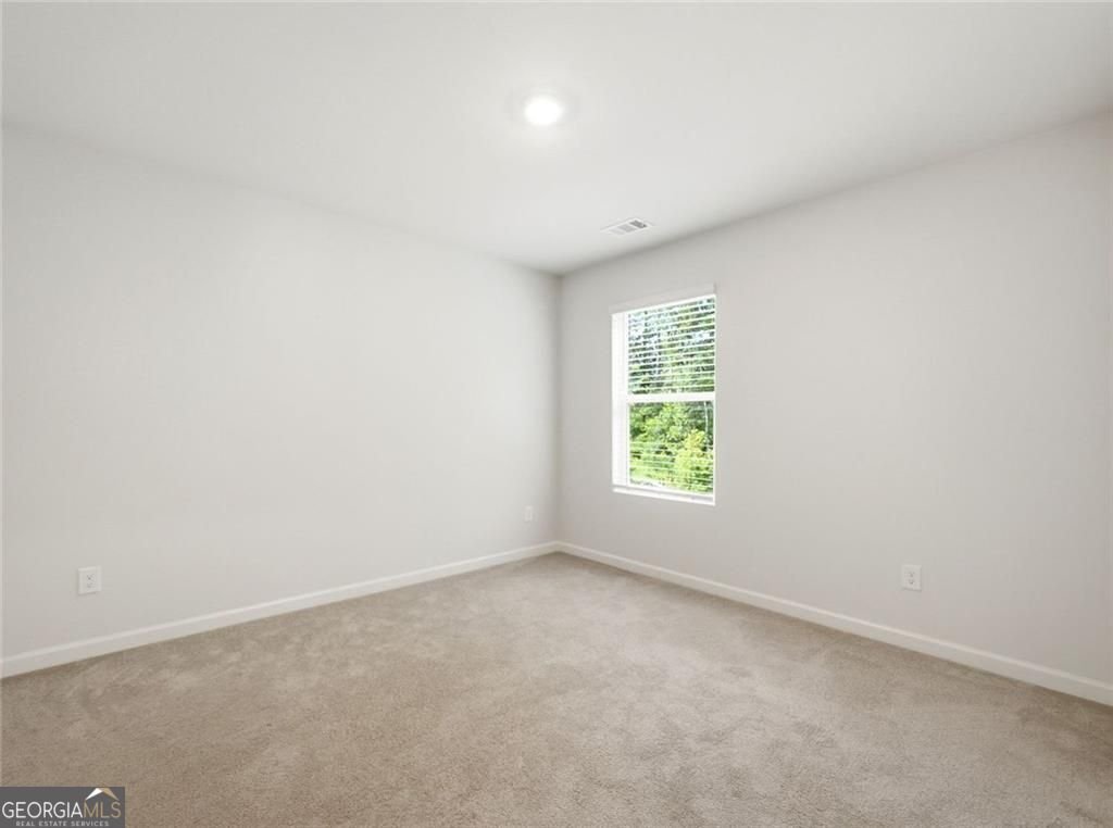 29 White Cedar Drive Dawsonville - Photo 35