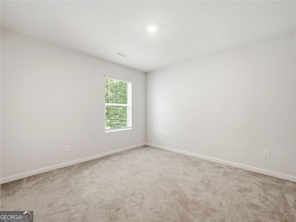 29 White Cedar Drive Dawsonville - Photo 37