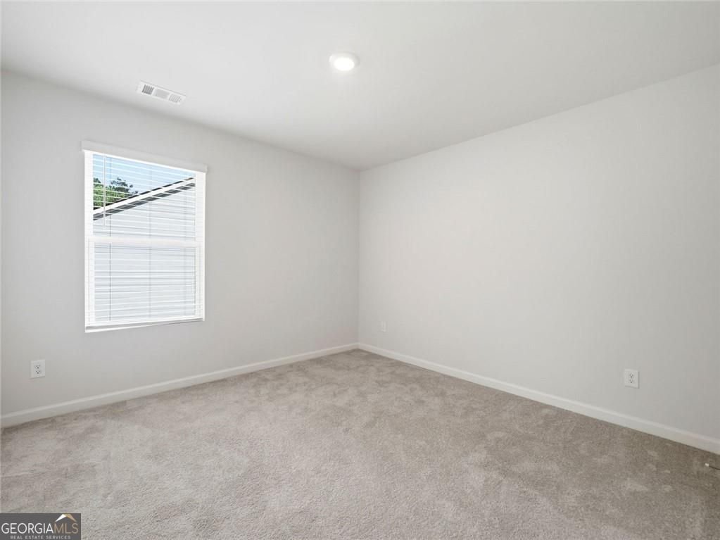 29 White Cedar Drive Dawsonville - Photo 39