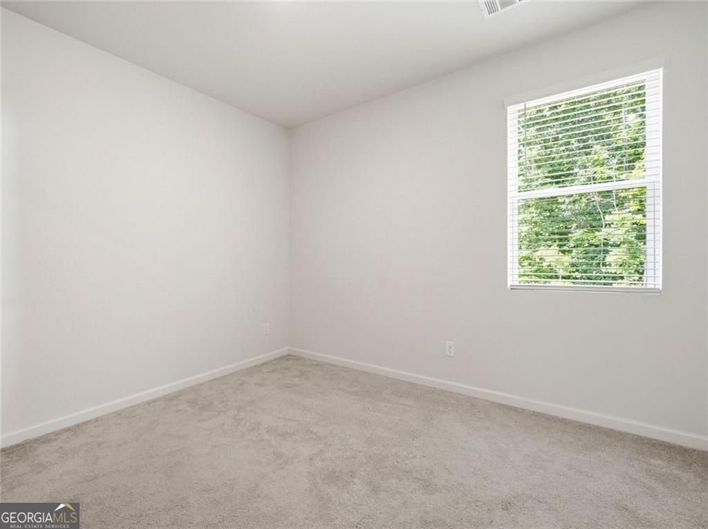 29 White Cedar Drive Dawsonville - Photo 44