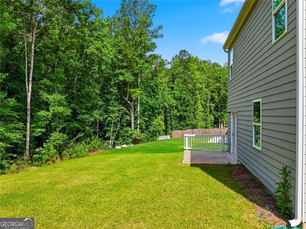 29 White Cedar Drive Dawsonville - Photo 51