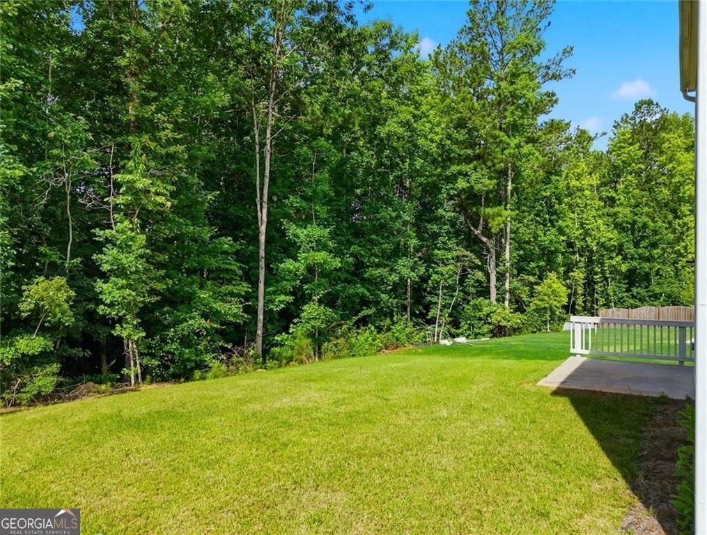 29 White Cedar Drive Dawsonville - Photo 52